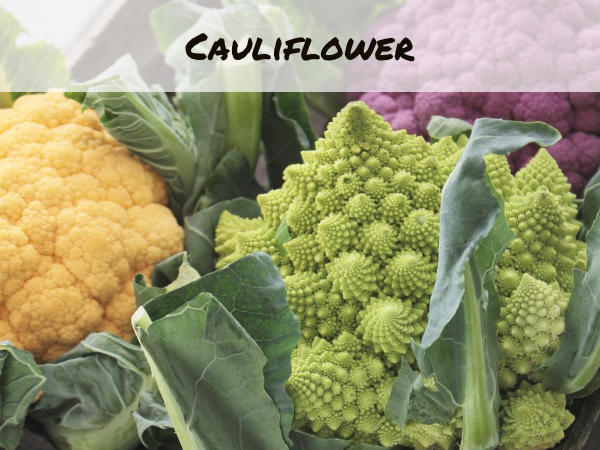 Cauliflower used in cauliflower recipes belongs to the botanic specie brassica oleracea. It is the same specie broccoli, cabbage, collard greens, kale and brussel sprouts belong to.
