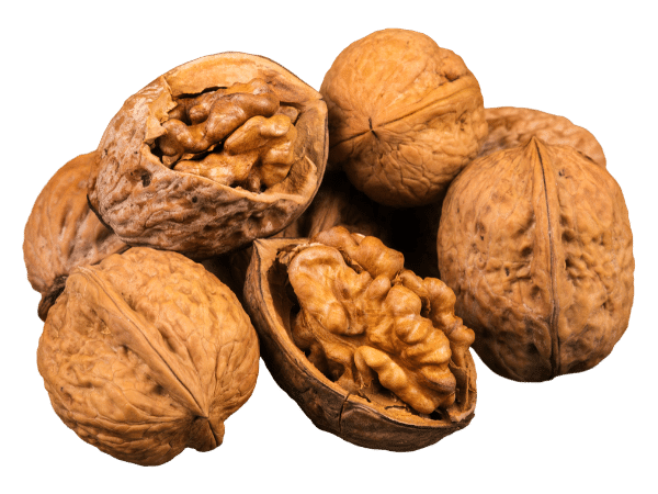 walnuts