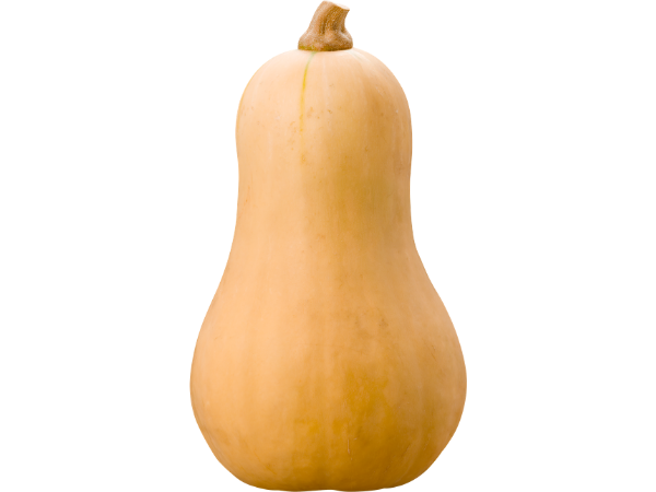 butternut squash