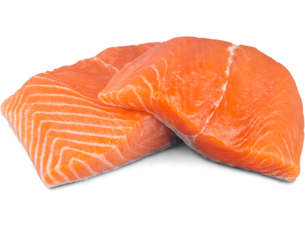 salmon