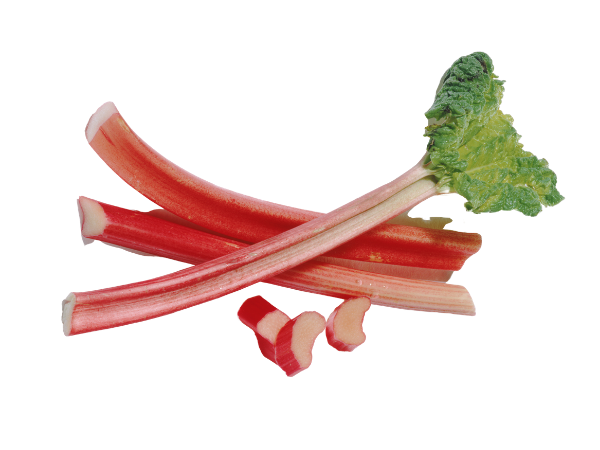 rhubarb