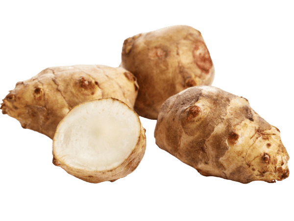 Jerusalem artichoke