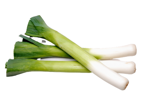 leek