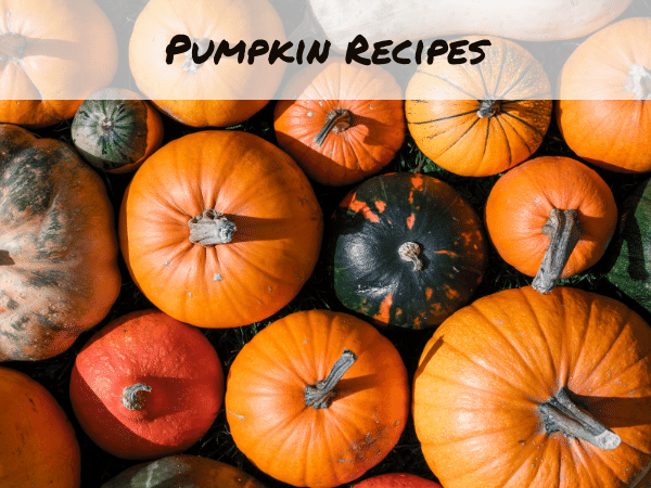 t2-pumpkin-recipes