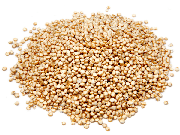 quinoa grains