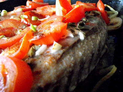 baked blue warehou fillet with spring onion and tomatoes