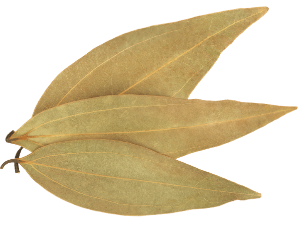 bay leaves