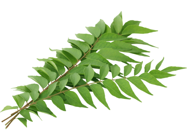 curry leaves