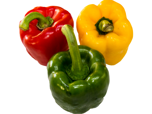 capsicum