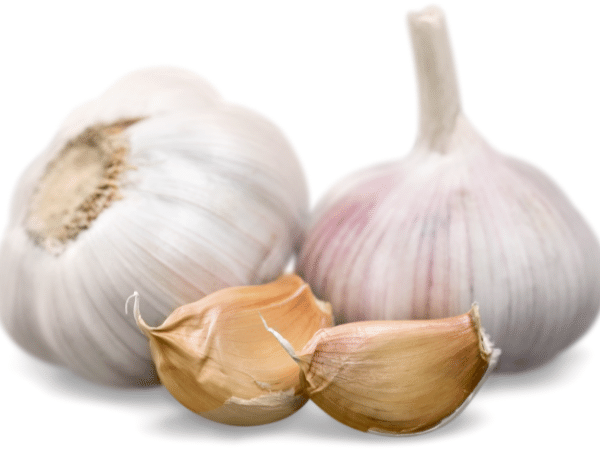 garlic