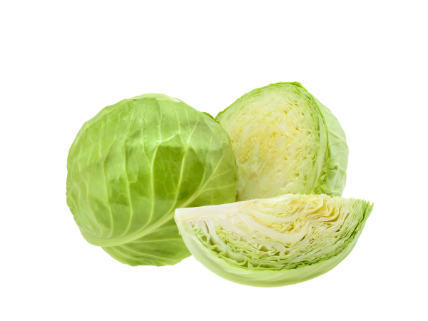 Cabbage