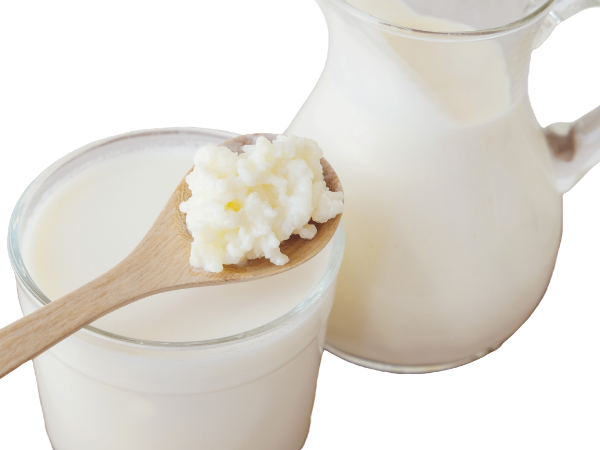 What is kefir? Kefir is a cultured milk drink made by fermenting milk over a period of time with kefir grains.