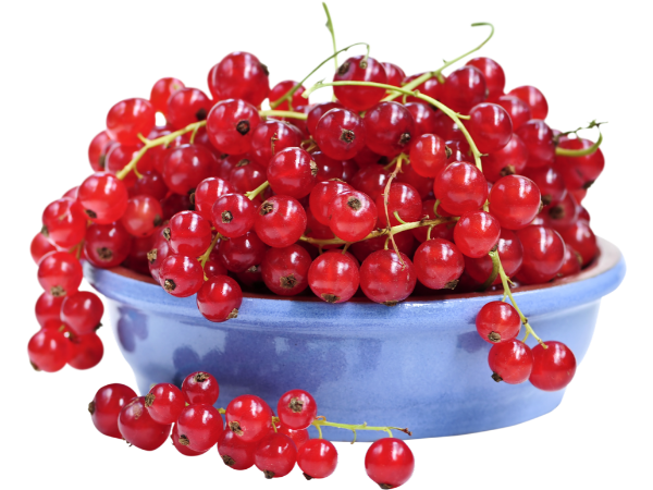 red currants