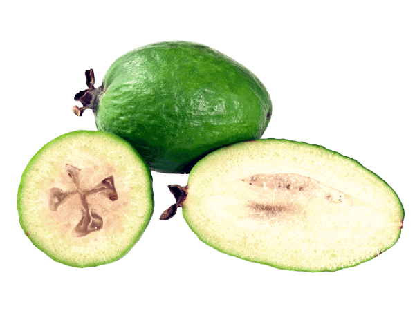 feijoa