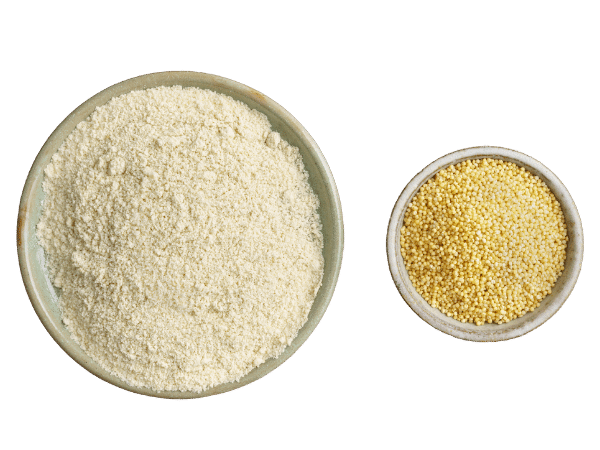 millet grain and flour