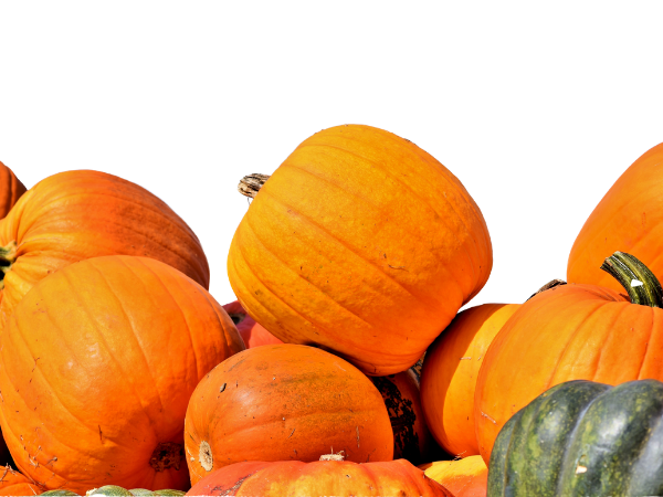 easy pumpkin recipes