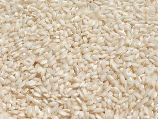 medium grain rice