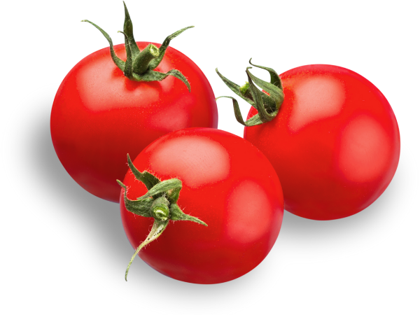 tomato