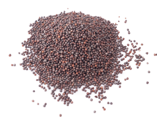 mustard seeds