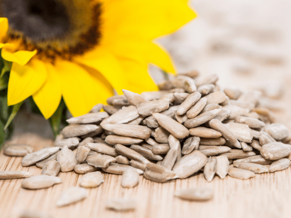 sunflower seeds